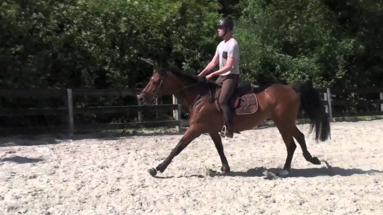 Trying Horses in France YouTube