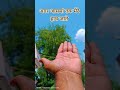Agar Aasma tak mere hath jaate... #shortsyoutube #shortsvideo #viral #trendingreels_ #viralreels