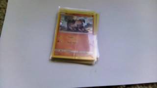 Ultra Pro Soft Penny Card Sleeves Review screenshot 3