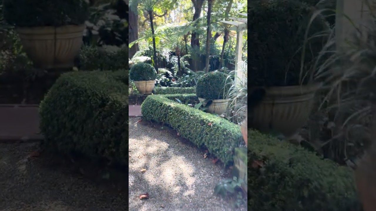 Beautiful garden walk | Частный сад -галерея в Голубых горах Сиднея (Австралия). Осенняя прогулка.