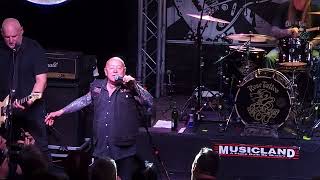 Rose Tattoo / Angry Anderson - Rock &#39;n&#39; Roll Outlaw - LIVE At Musicland Melbourne #rosetattoo