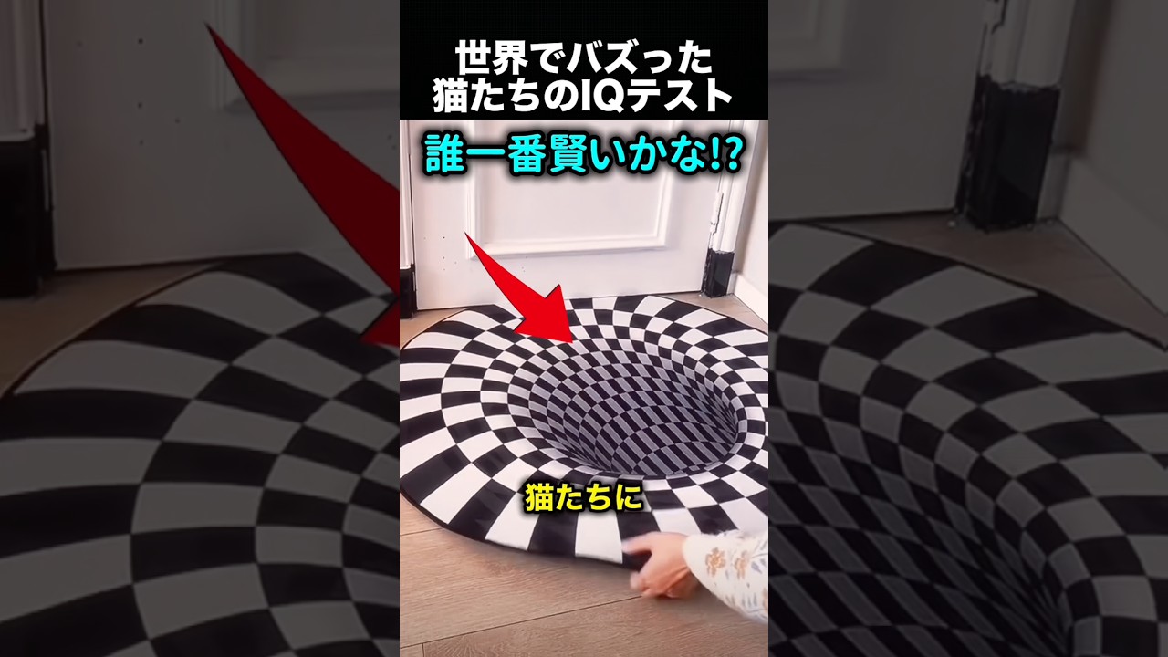 脱出できる猫、できない猫…性格の違いが面白すぎる！