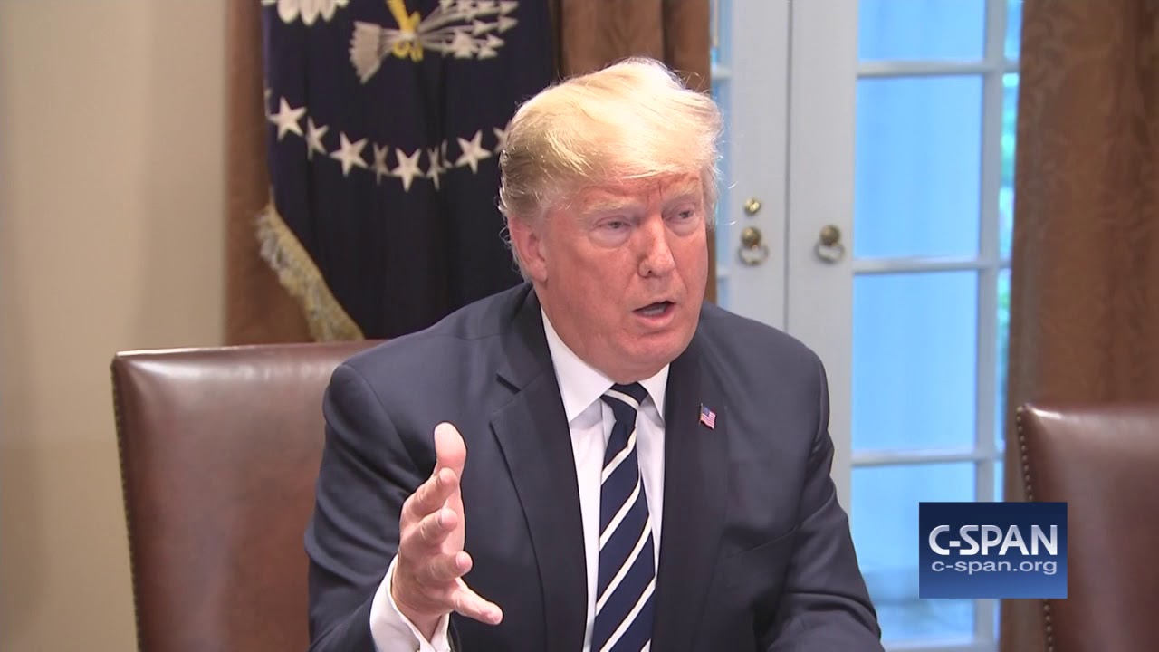 Word for Word: President Trump Says He Misspoke on Russia's Election Meddling (C-SPAN)