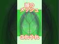 ãçéã§ãã¬ã€ïŒé¡ã¡ãã·ã¥ã®äœãæ¹ã#vtuber #live2d #shorts