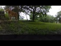 Lion AND Tiger Try to Pee on Camera and Operator