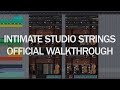 8Dio Intimate Studio Strings - Disco, Pop and Arcs