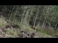 Ερασιτεχνικό βίντεο από αεροσκάφος τύπου drone, στο πιο στοιχειωμένο δάσος της Αγγλίας, προκαλεί ανατριχίλα!