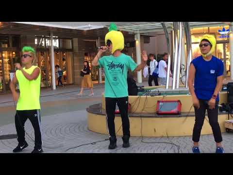 ゴールデンパイン【ELEVATION】2017.8.12樟葉路上