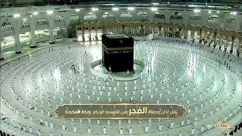 ‏۞ سورة النساء ﴿ 120-121 ﴾القارئ: د. ياسر الدوسري. || حالات واتس آب || 🤍💭