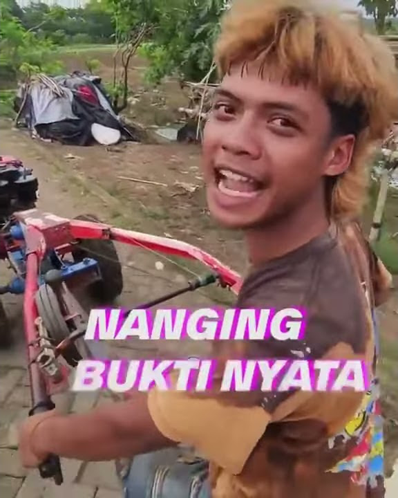 Story wa H kotek