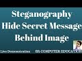 Steganography Hide secret message behind image