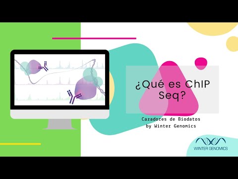 Video: GRES: la transcripción no es relevante