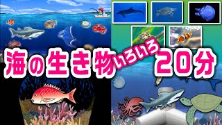 【子供が喜ぶ水族館】海の生き物アニメ詰め合わせ20分！お魚さんたちが大集合！さかなの名前ずかん★クジラ・イルカ・マンボウ・たこ・カメ・ペンギン★未就学児向け教育｜Fish気分はスキューバダイビング♪