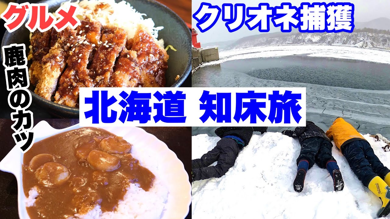 北海道 知床旅 クリオネ捕獲とグルメの旅 網走 斜里 知床 エゾ鹿肉のソースカツ丼 カレー ホタテカレー ご当地ソフト 流氷ソーダなど 道東 オホーツク Youtube
