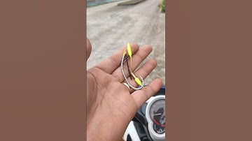 Lưỡi hột mít full thẻo đồng, thép trắng Pro 2ly4 - 6p2 | Đồ Câu Ngô Khanh - 0947.234531