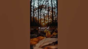بس احترام القرآن الكريم😃😉🫡🙂‍↕️