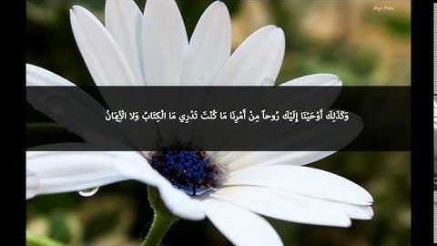 أواخر سورة الشورى بصوت مشاري بن راشد العفاسي