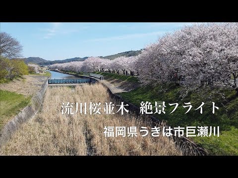 クリエイトバリュー