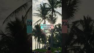 Best of Phu Quoc, Vietnam-Top things to do!