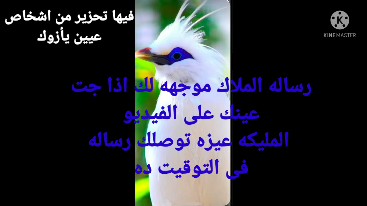 رسالة من مرشدك الروحانى الرساله فيها  تحزير من اشخاص عيزين يأزوك رساله هامه