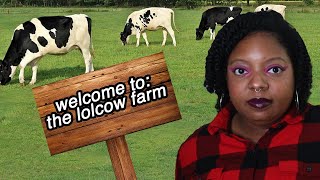 lolcow culture is bad, actually Net Worth
