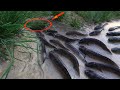 Amazing Technique Creative Deep Hole Fish Trap Can Catching A Lot Of Fish By Smart Man - tyriq1256