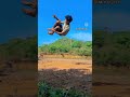 stunts video sports kora yaar #stuntslover #shortvideo 😍#song