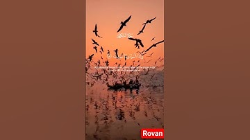 #تلاوة رائعه جدا 🕋🎧👌❤️🕋