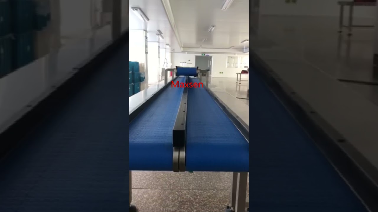 Maxsen modular conveyor for shampoo factory commissioning transmission line