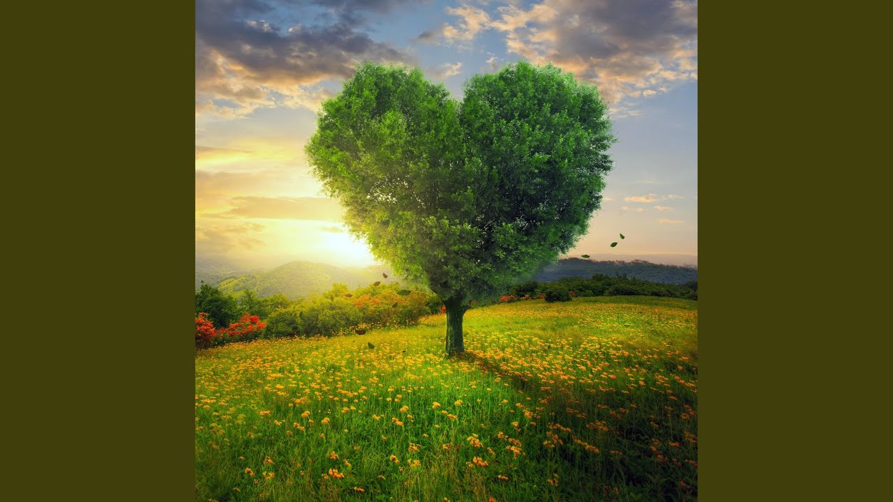 528 Hz Elevated Vibrations