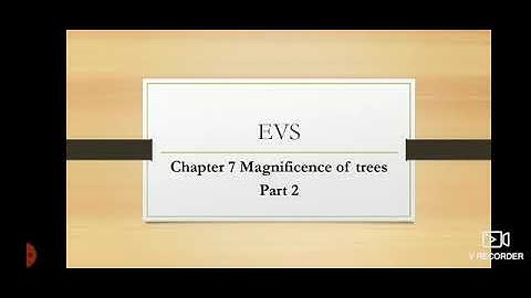 Class-5||Sub-EVS||Ch-7; Magnificence of trees (Part-2)