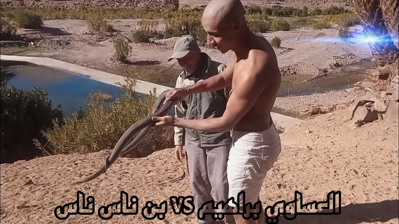 ❌عندما تلتقي الأساطير 💪العساوي براهيم VS بالناس ناس مغامره خطيره🔞 مشوقه⛔🇲🇦