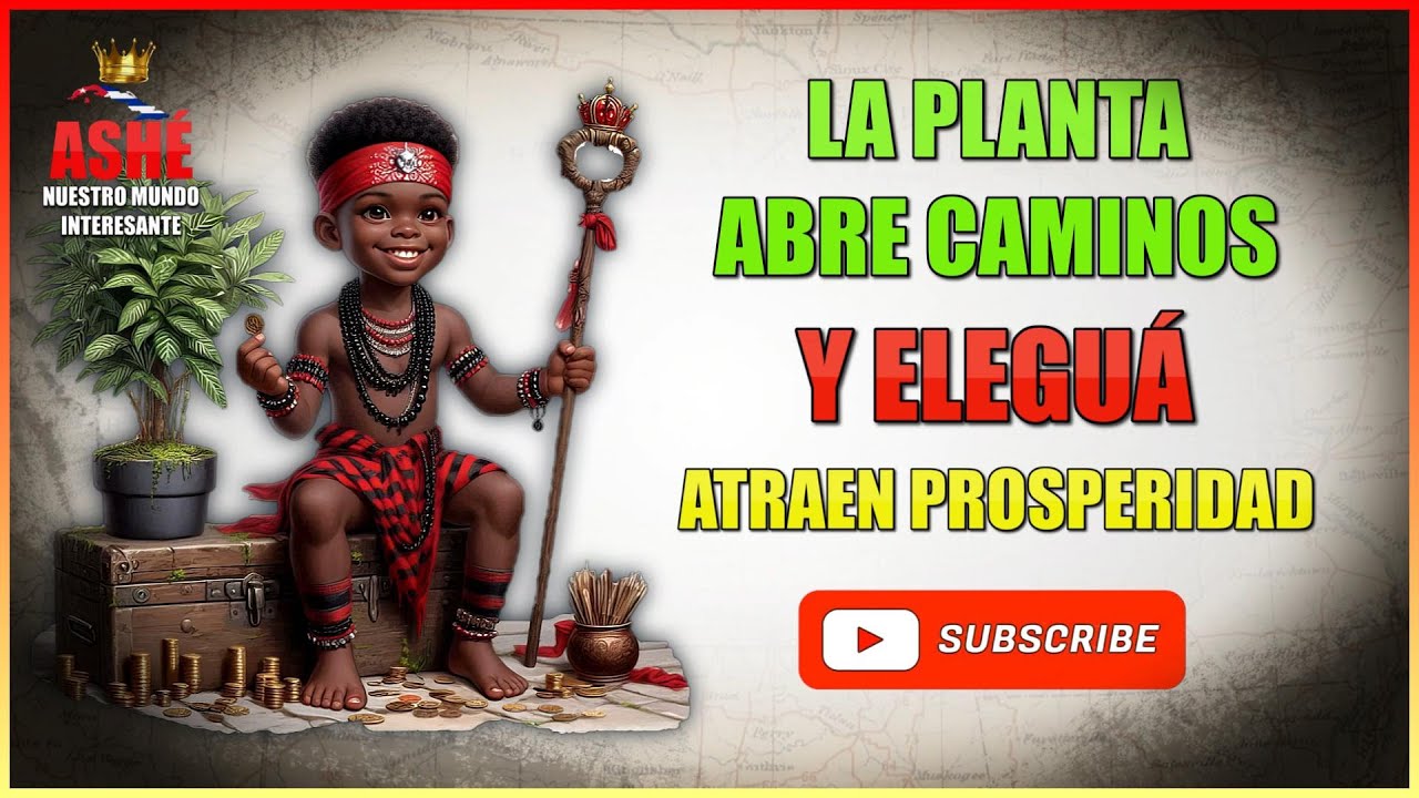 con esta planta elegua abre el camino al dinero