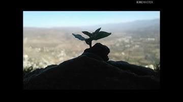 صوت مريح.ورائع.قارئ مجهول