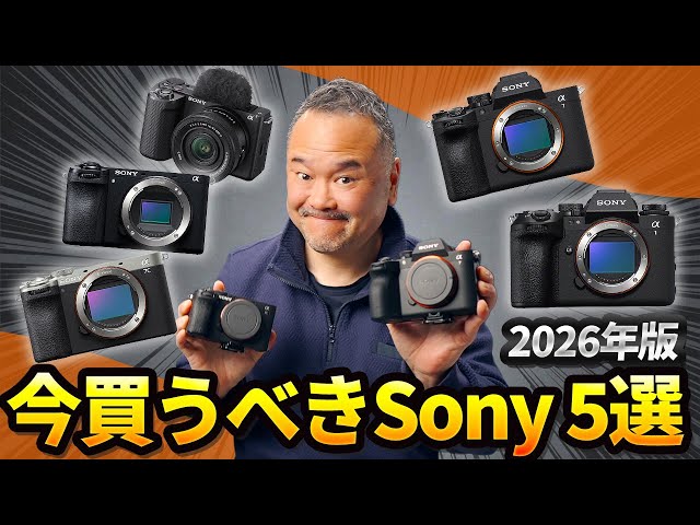 5 Sony Cameras You Should Buy Now, According to Professionals