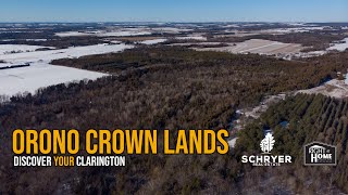 Orono Crown Lands | Discover YOUR Clarington
