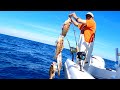 Deep Water Grouper/Snapper Commercial Fishing