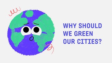 What is the albedo effect?