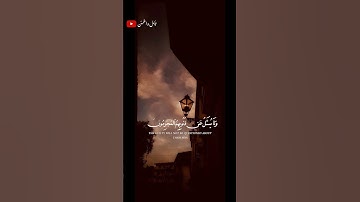 تلاوة خاشعة للشيخ ياسر الدوسري 🎧❤️‍🩹 #اكسبلور #طمئن_قلبك #أرح_سمعك_وقلبك #حالات_واتس #قران_كريم