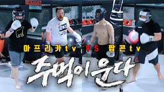 14만 명을 감동시킨 주먹이 운다 플랫폼 대전 [아프리카TV vs 팝콘 TV]