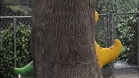 Fun & Games (1999 Version) Part 15