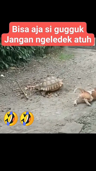 pande kali siguguknya meniru ya🤣 #jangkauanluasfyp