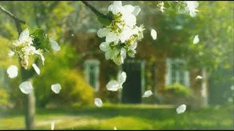 حالات واتساب القارئ عبد الرحمن العوسي ||سورة الضحى || ستوريات انستغرام قرآن Abdul Rahman Al Ossi