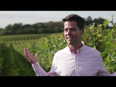 Video: Ndryshimet klimatike po e detyrojnë industrinë e verërave të bëhet krijuese