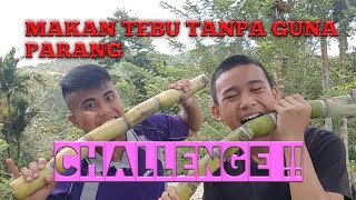 Cara Makan Tebu Paling Aneh Di Dunia