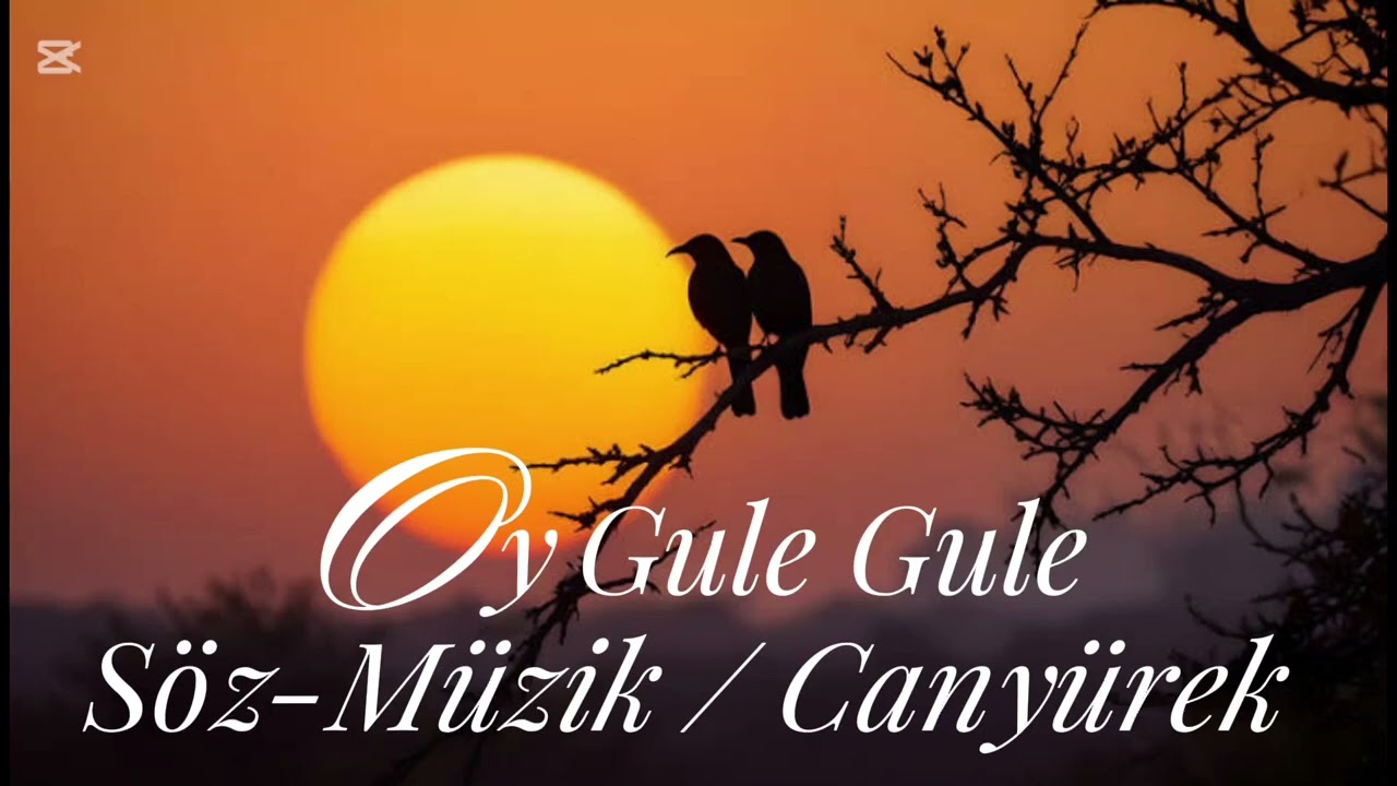 Gule, ye herkes gıptayla bakar. Ama kimse ulaşamaz. 