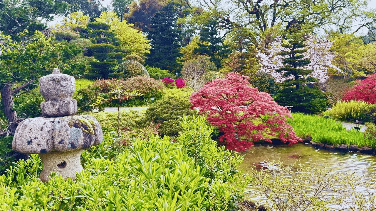 Hidden Japanese Garden in California | A Peaceful Escape to Kyoto