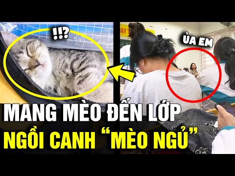 Video Mặc GIÁO VIÊN đang giảng bài, nam sinh vẫn lo CHĂM MÈO... - youtube