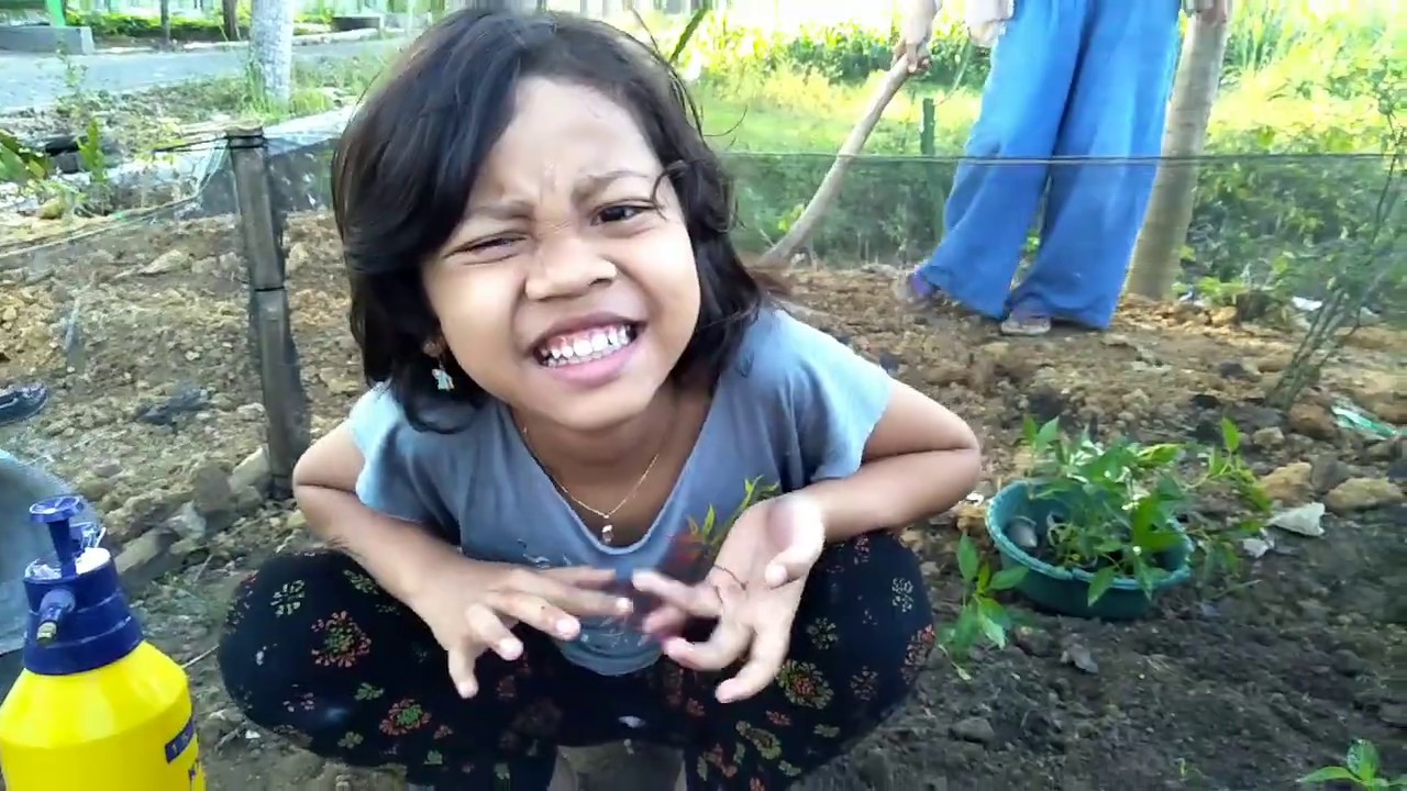 Tanam Cabe yuk!!! 
