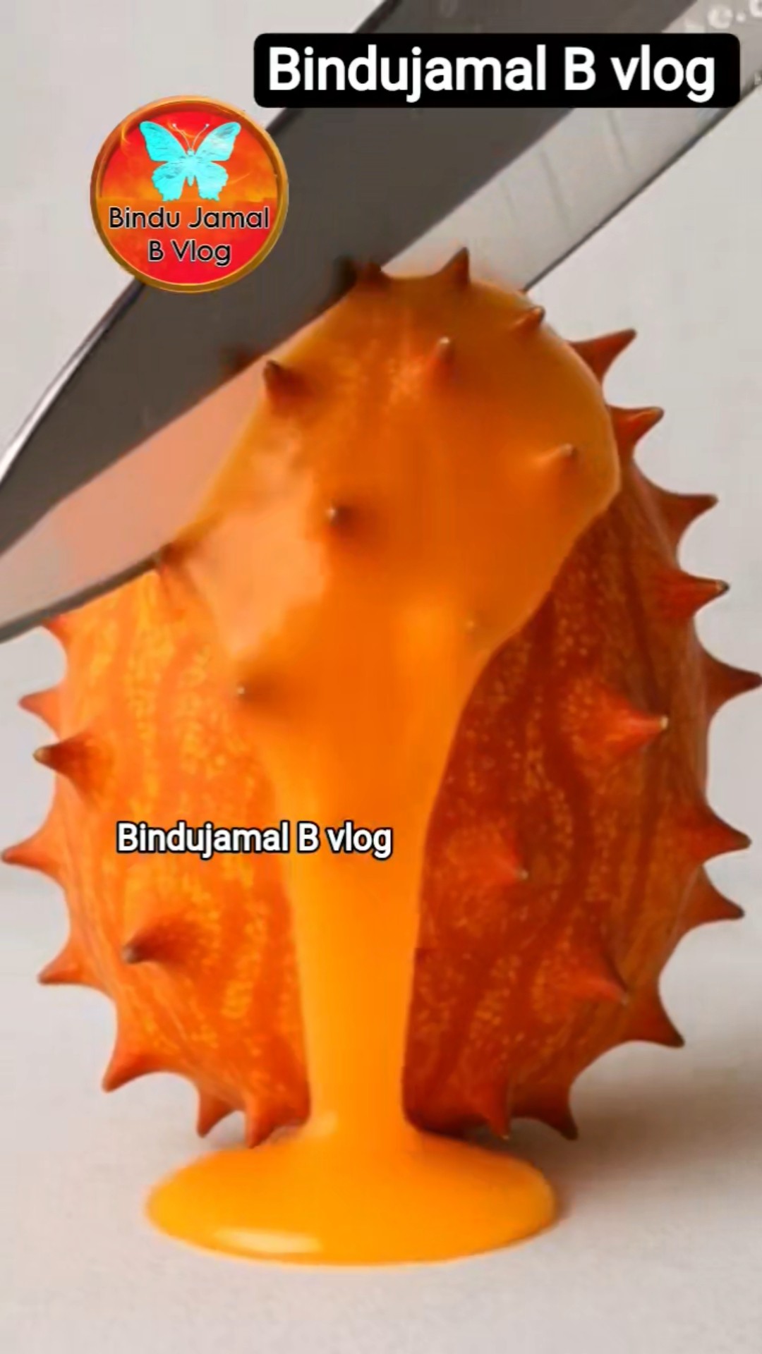 bindujamalbvlog - ShareChat